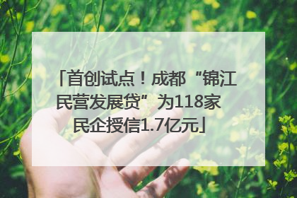 首创试点！成都“锦江民营发展贷”为118家民企授信1.7亿元