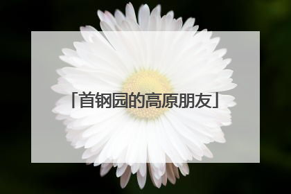 首钢园的高原朋友