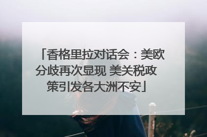 香格里拉对话会：美欧分歧再次显现 美关税政策引发各大洲不安