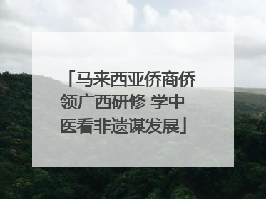 马来西亚侨商侨领广西研修 学中医看非遗谋发展