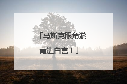 马斯克眼角淤青进白宫！