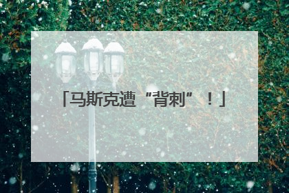 马斯克遭“背刺”！