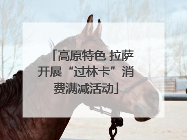 高原特色 拉萨开展“过林卡”消费满减活动