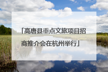 高唐县重点文旅项目招商推介会在杭州举行