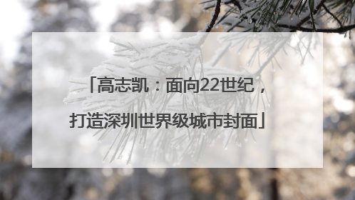 高志凯：面向22世纪，打造深圳世界级城市封面