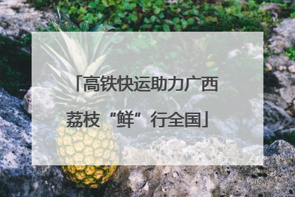 高铁快运助力广西荔枝“鲜”行全国
