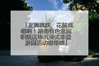 龙狮跳跃、花鼓戏唱响！湖南有色金属职院这场沉浸式非遗游园活动很带感