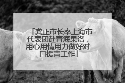 龚正市长率上海市代表团赴青海果洛，用心用情用力做好对口援青工作