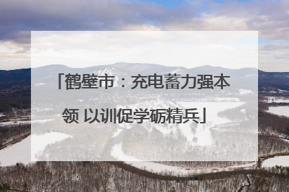 鹤壁市：充电蓄力强本领 以训促学砺精兵
