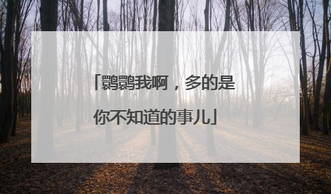 鹮鹮我啊，多的是你不知道的事儿
