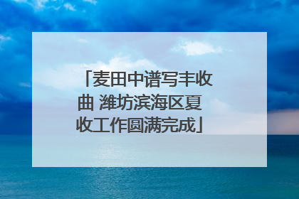 麦田中谱写丰收曲 潍坊滨海区夏收工作圆满完成
