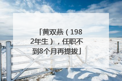 黄双燕（1982年生），任职不到8个月再提拔