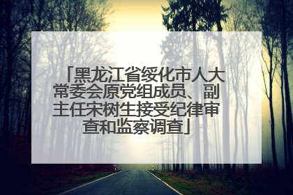 黑龙江省绥化市人大常委会原党组成员、副主任宋树生接受纪律审查和监察调查