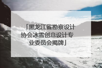 黑龙江省勘察设计协会冰雪创意设计专业委员会揭牌