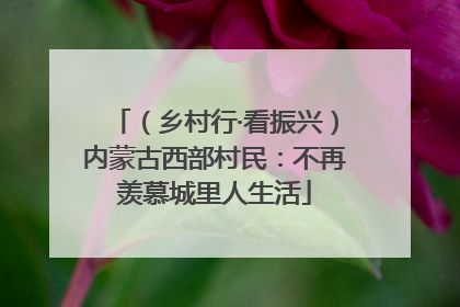 （乡村行·看振兴）内蒙古西部村民：不再羡慕城里人生活