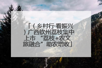 （乡村行·看振兴）广西钦州荔枝集中上市 “荔枝+农文旅融合”助农增收
