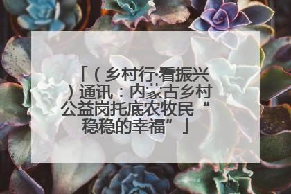 （乡村行·看振兴）通讯：内蒙古乡村公益岗托底农牧民“稳稳的幸福”