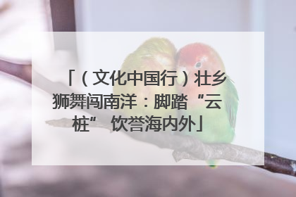 （文化中国行）壮乡狮舞闯南洋：脚踏“云桩” 饮誉海内外