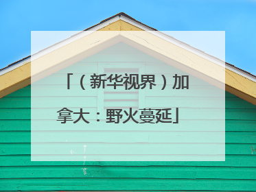 （新华视界）加拿大：野火蔓延