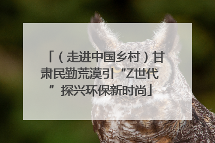 （走进中国乡村）甘肃民勤荒漠引“Z世代”探兴环保新时尚
