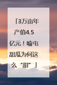 3万亩年产值4.5亿元！喻屯甜瓜为何这么“甜”