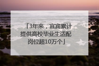 3年来，宜宾累计提供高校毕业生适配岗位超10万个