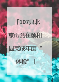 107只北京雨燕在颐和园完成年度“体检”