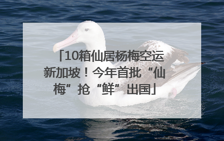 10箱仙居杨梅空运新加坡！今年首批“仙梅”抢“鲜”出国