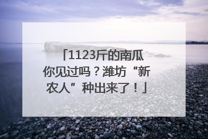1123斤的南瓜你见过吗？潍坊“新农人”种出来了！