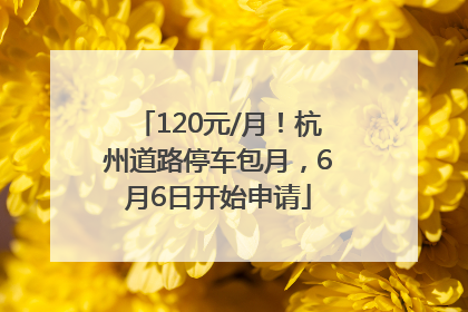 120元/月！杭州道路停车包月，6月6日开始申请