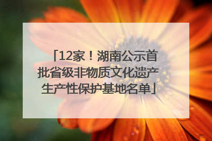 12家！湖南公示首批省级非物质文化遗产生产性保护基地名单