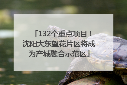 132个重点项目！沈阳大东望花片区将成为产城融合示范区