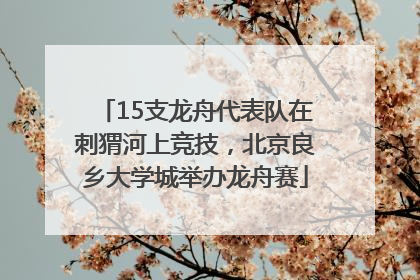 15支龙舟代表队在刺猬河上竞技，北京良乡大学城举办龙舟赛