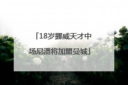 18岁挪威天才中场尼潘将加盟曼城