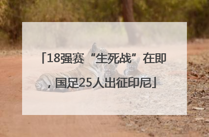 18强赛“生死战”在即，国足25人出征印尼
