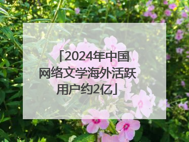 2024年中国网络文学海外活跃用户约2亿