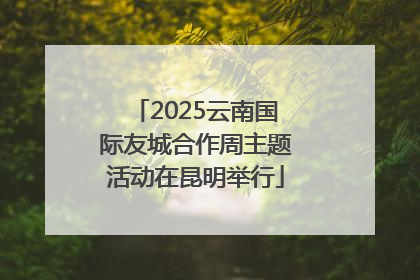 2025云南国际友城合作周主题活动在昆明举行