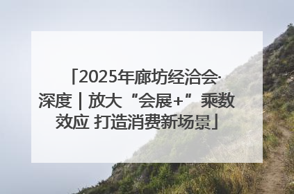 2025年廊坊经洽会·深度｜放大“会展+”乘数效应 打造消费新场景