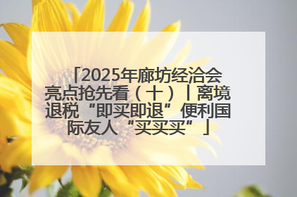 2025年廊坊经洽会亮点抢先看（十）丨离境退税“即买即退”便利国际友人“买买买”