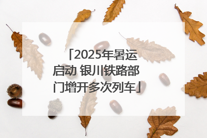 2025年暑运启动 银川铁路部门增开多次列车
