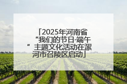 2025年河南省“我们的节日·端午”主题文化活动在漯河市召陵区启动