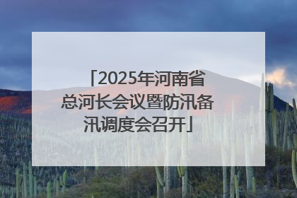 2025年河南省总河长会议暨防汛备汛调度会召开