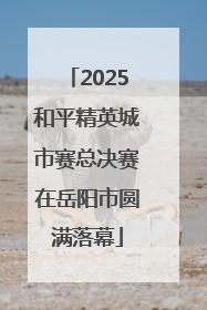 2025和平精英城市赛总决赛在岳阳市圆满落幕