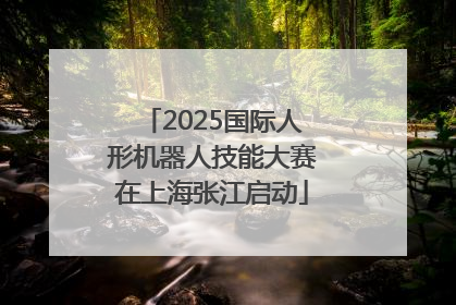 2025国际人形机器人技能大赛在上海张江启动
