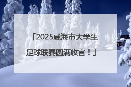 2025威海市大学生足球联赛圆满收官！