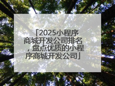 2025小程序商城开发公司排名，盘点优质的小程序商城开发公司