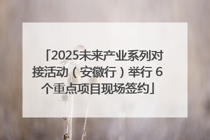2025未来产业系列对接活动（安徽行）举行 6个重点项目现场签约