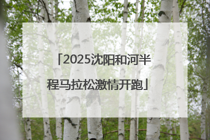 2025沈阳和河半程马拉松激情开跑