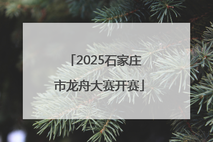 2025石家庄市龙舟大赛开赛