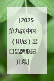 2025第九届中国（印尼）出口品牌联展开幕